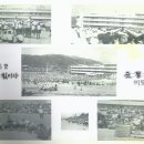 부곡초등학교2 이미지