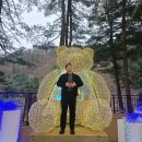 (야간)봄을 맞이하는 마크라메 | 가평 가볼만한곳 야경이 아름다운 아침고요수목원 야간개장