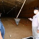 부림축산 이미지