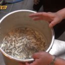 옛날 김밥 이미지