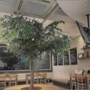 화이트라인치과의원 이미지