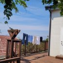 화랑세탁 이미지