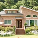 헬로우댕댕 이미지