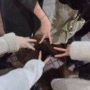 힐링프로그램-오케스트라 음악을듣다,나를듣다 | 더시즌즈 <10CM의 쓰담쓰담> 연말특집 방청 후기