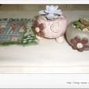 햇살다육꽃사랑 이미지