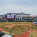 야구장 이미지