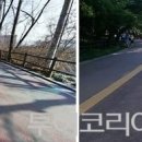 순환로4 이미지
