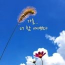 너참예쁘다 이미지