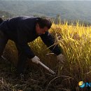 이기수농장 이미지