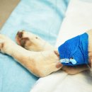 토평동물병원 이미지