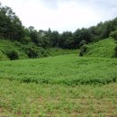 어상천면사무소 이미지