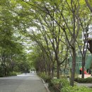 고덕그라시움(135동 앞) | [강동] 고덕그라시움 임장 후기!