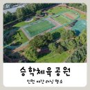 중부동공원 게이트볼장 | 승학체육공원 야간 러닝 후기 :) 인천 미추홀구 러닝코스 추천