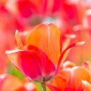 화명생태공원(화명운동장 내) 이미지