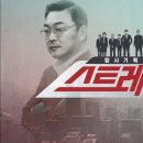 스트레이트 티브이데일리