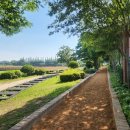 회산백련지 소공원 이미지