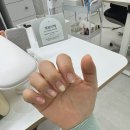 완산-113 | 전주 신시가지 네일 잘하는 곳 네일유담 자석젤 후기