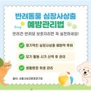 서울동물심장병원 이미지