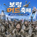 2026 보령 머드축제 라인업 예매·주차·교통·핸드링·맛집·숙소까지 1박2일 가이드
