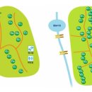 국립삼봉자연휴양림 야영장 이미지