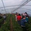 한들농장 이미지