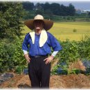 천수 농장 이미지