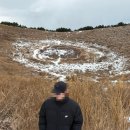 연식목장 | 애월여행코스 금오름 새별오름 도치돌알파카목장 흑돼지맛집