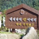 배계화의 장이야기 Daum카페