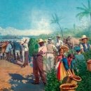 산호세 농장 이미지