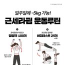 보냄주