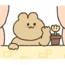 로티플헤어