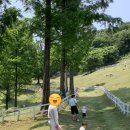 낙원목장 이미지