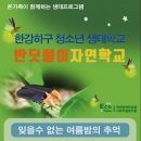 반딧불이 생태학교 이미지