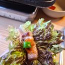 장터고기집 | 춘천 우두동 현지인 맛집 장터풍물생고기 방문 후기