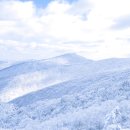 별빛캐치 이미지