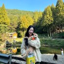 우리U펜션 이미지