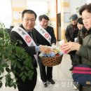 영동세무서 이미지