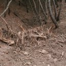 부경 태양광발전소 이미지