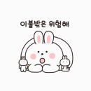 킹 태권도장 이미지