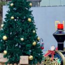 파인트리키즈풀빌라 이미지