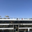 강 | 아스완에서 룩소르, 2박 3일 나일강 크루즈 후기