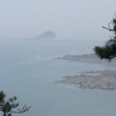 소나무숲속의하얀집 이미지