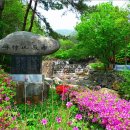 삼비산농장 이미지