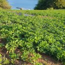 미포마을회관 이미지