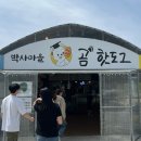 (유)우진택시 | 8개월 아기랑 제주도 여행(4) 여행 마무리 + 외전