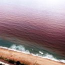 맹방해변 이미지