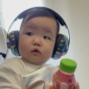 봉개불닭발