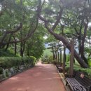 인창중앙공원(산책로) 이미지