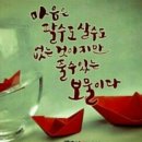 도린 이미지