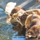 신광농장 이미지